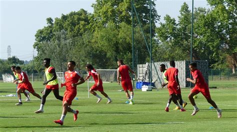 NÎmes Olympique Ça Bosse Dur Chez Les Crocodiles