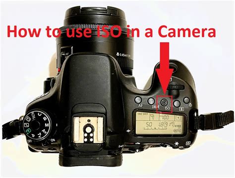 How To Use Iso In A Camera