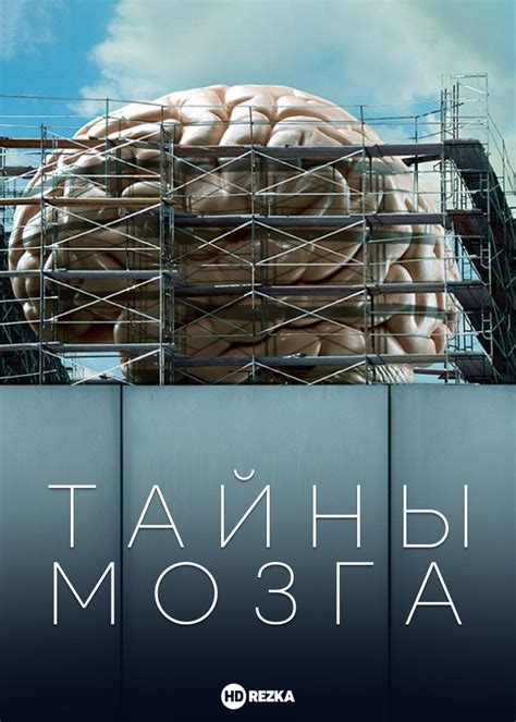 Смотреть сериал Тайны мозга онлайн бесплатно в хорошем качестве