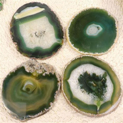 Green Agate Slice Large Natural Agate Slice D Cor Nature S Artifacts