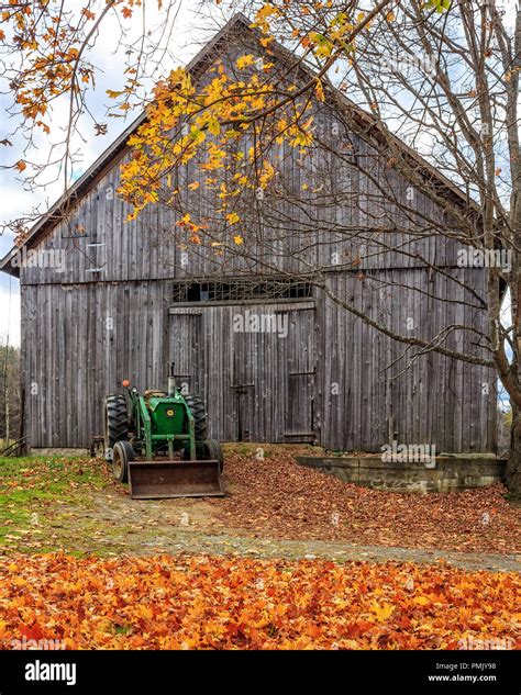 A Vintage John Deere Tractor Among The Fall Foliage By An Old New