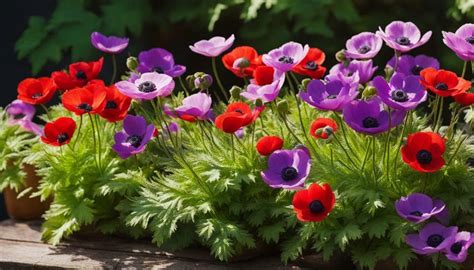 Discovering The Best Anemone Companion Plants For Your Garden