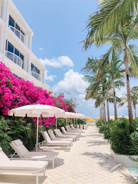 Grand cayman travel guide – Artofit