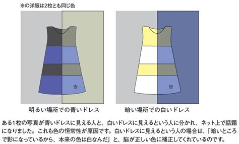 何色に見えますか？色覚異常でなくても「違う色」になる理由 ゴールドオンライン