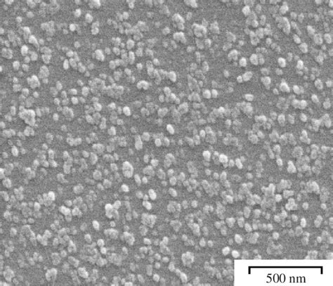 Sem Of The Etched 3 Hf 10 S Surface Of Fluorapatite Glass Ceramic Download Scientific