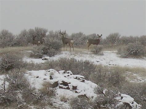 Columbia National Wildlife Refuge, a Washington National Wildlife Refuge