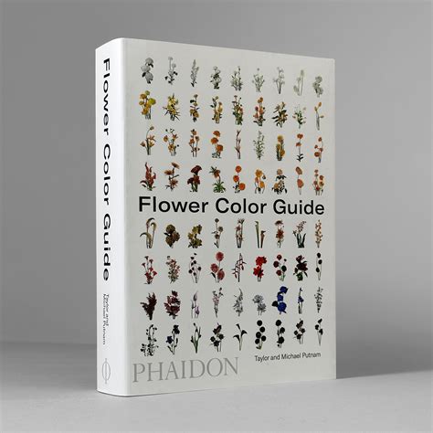 Flower Color Guide – Draw Down