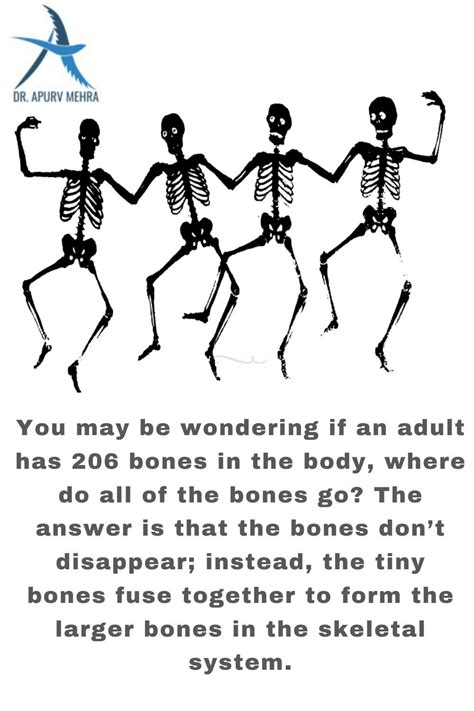 10 Fun Facts About The Skeletal System