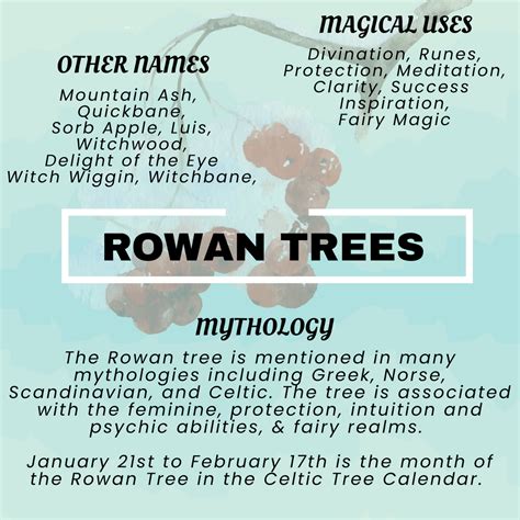 Rowan Tree Magical Properties