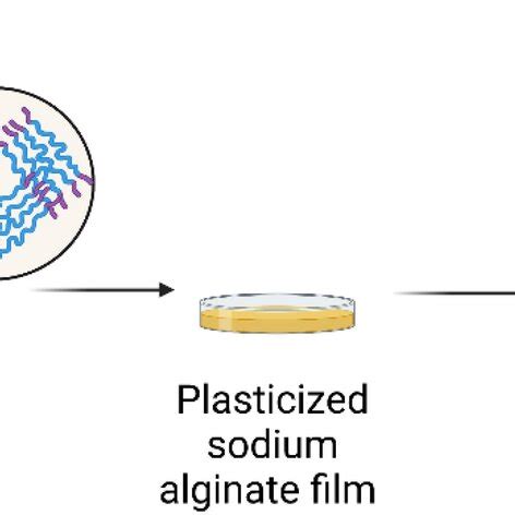 preparation  plasticized  crosslinked sodium alginate films