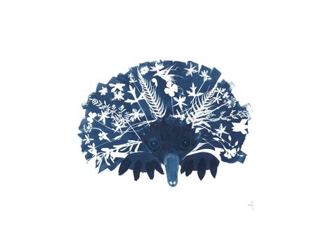 Wambiyala the Echidna, Fine Art Giclee Print