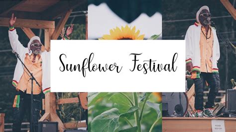 TENDERCROP FARM SUNFLOWER FESTIVAL YouTube