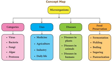 Microorganisms Chapter Th Science