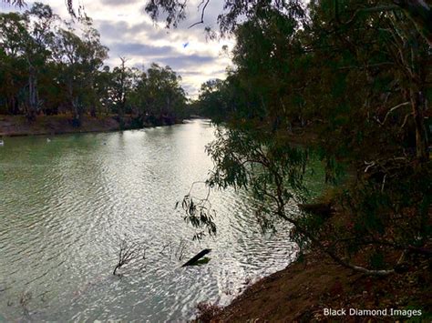 A Bend In The Lower Murrumbidgee River At Yanga Station W Flickr