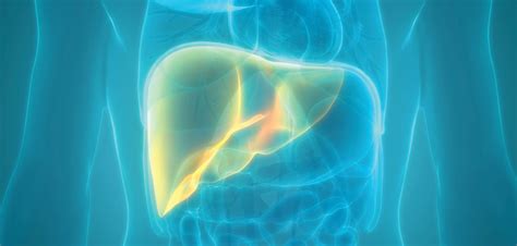 Fda Approves New Immunotherapy For Advanced Liver Cancer Cancer Health