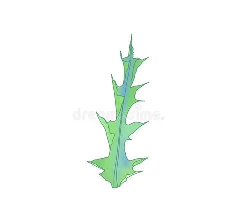 Flores De Cardo De Leche Aisladas En Blanco Ilustraci N Del Vector