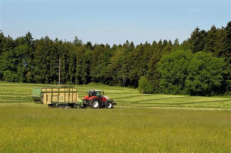 Bauer Agriculture Tractor Trailers Hay Harvest Nature Arable