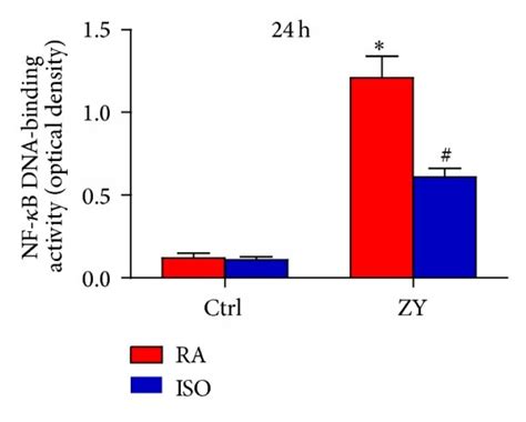 07 Iso Reduces Zy Induced Nf κb Activation In Vitro A At 05 H