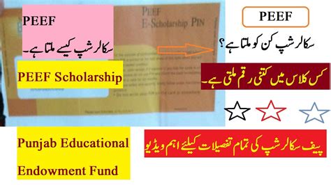 Peef Scholarship All Details Peef Scholarship Latest Update Punjab