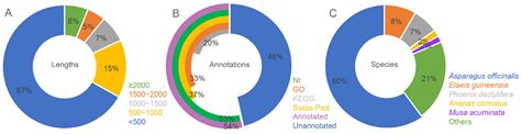 Plants Free Full Text Transcriptome Sequencing Of Agave Amaniensis