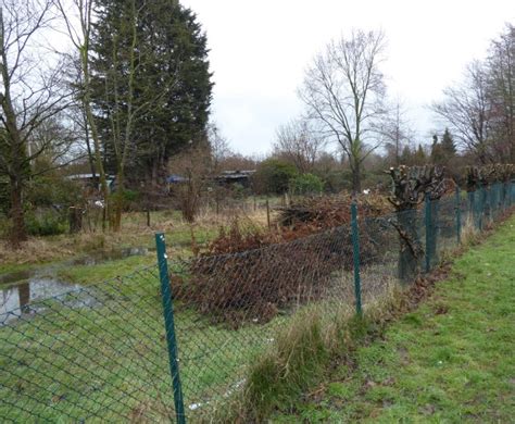 Grundschule Humannstr Gartenfreunde Bremen