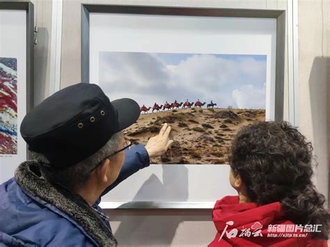 春风化雨润天山，110幅摄影作品展现新疆之美 天山网 新疆新闻门户