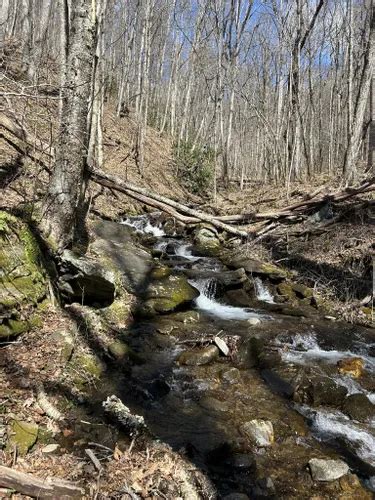 Best Waterfall Trails in Sylva | AllTrails