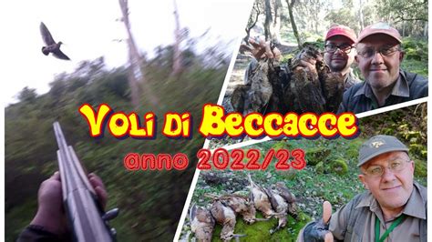 Voli Di Beccacce Quante Emozioni Caccia Alla Beccaccia