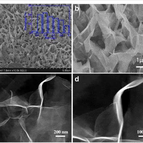 A B Top Down SEM Image Of The Prepared Vertical 1T WS 2 Nanosheets On