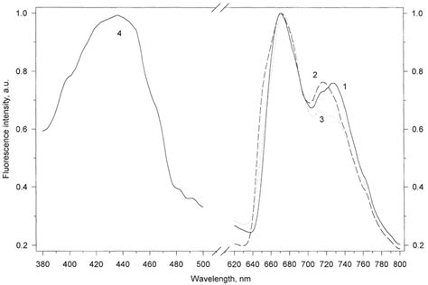 Fluorescence Emission 1 3 And Excitation 4 Spectra Of A Frozen