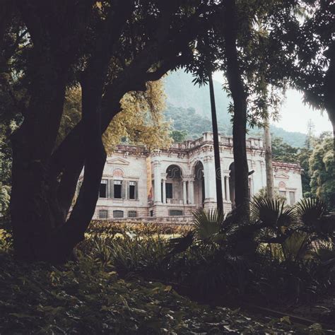 Selective Focus Of The Parque Lage In Rio De Janeiro Brazil With Trees