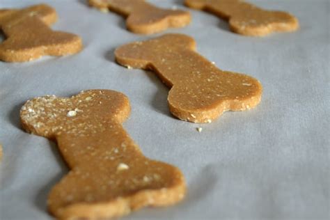 6 Easy Dog Treat Recipes for Valentine's Day - Pet Releaf