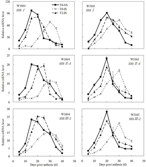 Relative Mrna Level Of Sssi Sssii 3 And Sssiii 2 In Ss And Is During