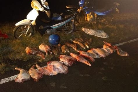 Corrientes Detectaron caza furtiva y pesca indiscriminada en el río