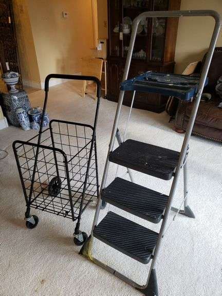 Costco Step Ladder And Push Cart Aumann Auctions Inc