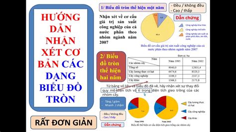 Vẽ Biểu đồ Tròn Và Nhận Xét Hướng Dẫn Và Phân Tích Chi Tiết