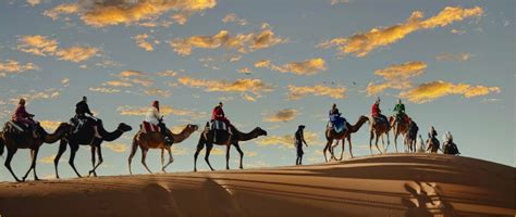 Desert Excursions In Morocco Merzouga Camel Trekking Sahara Desert