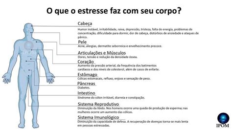 Pin De Adriana Diniz Em P Em 2021 Estresse Efeitos Do Estresse