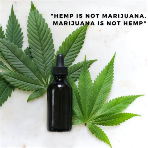 Skin Diseases Hemp Seed Oil As A Natural Medicine Marialma Blog