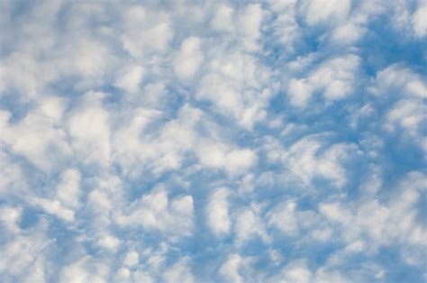 Tekstur Awan Latar Belakang Awan Cumulus Yang Sangat Cumulus Foto Stok ...