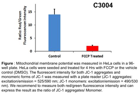 Apoptosis And Mitochondrial Membrane Potential Assay JC1 Precision