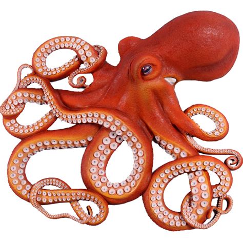 Octopus Png Photo Png Mart