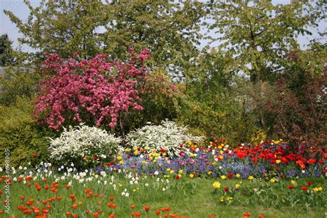 Fr Hlich Bunte Fr Hlingswiese Stock Foto Adobe Stock