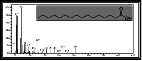 C Mass Spectrum Of Hexadecanoic Acid Palmitic Acid Rt