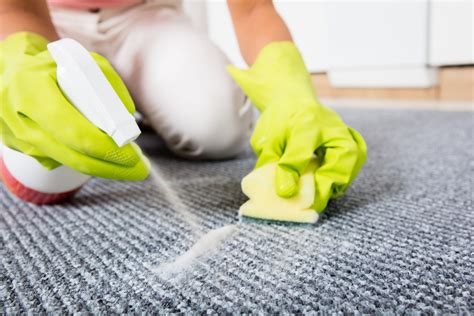 How To Remove Stubborn Stains From Your Carpets