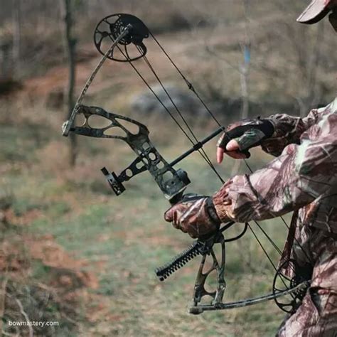 Best Compound Bow For Hunting Best Hunting Bow