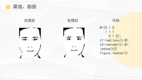 Matlab 人脸识别人脸识别原理matlbab Csdn博客