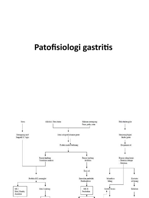 Patofisiologi Gastritis Pdf