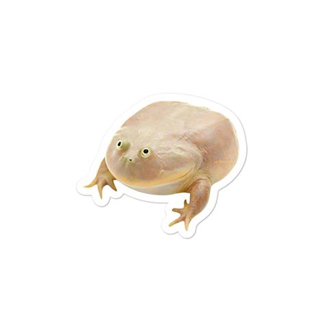 Wednesday Frog It's Wednesday My Dudes Sticker - Etsy