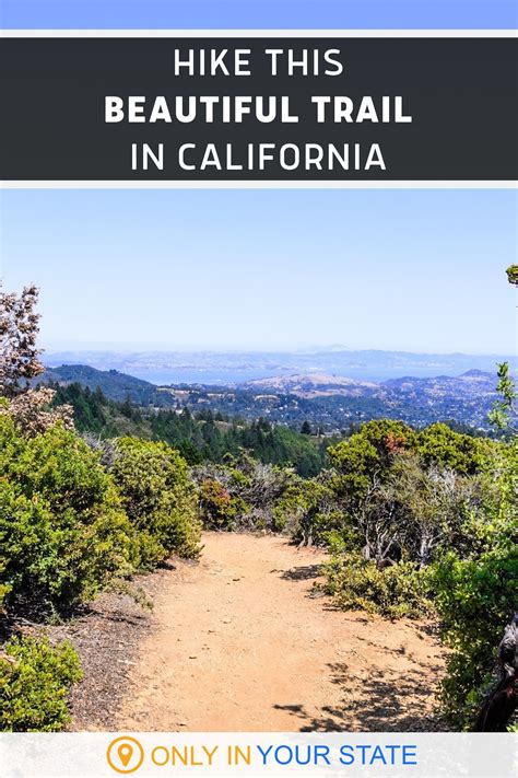 There Are Endless Scenic Views Along The Trail At Mount Tamalpais State